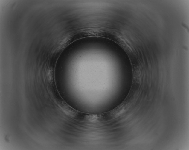 X0000091850131200709191104