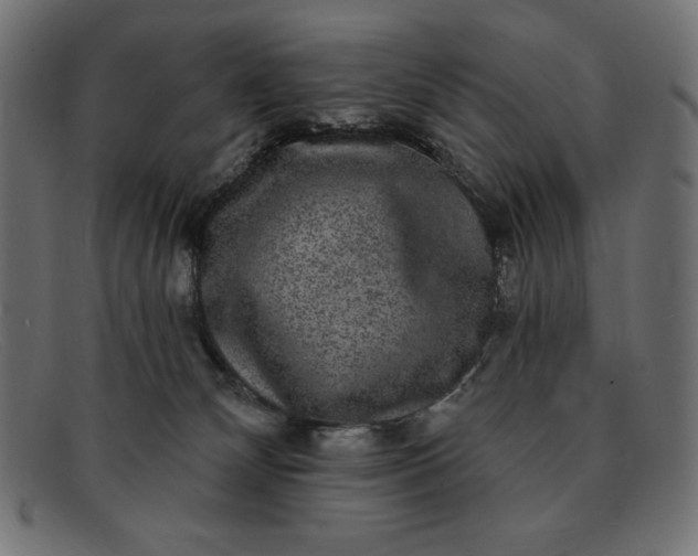 X0000091850132200709191104