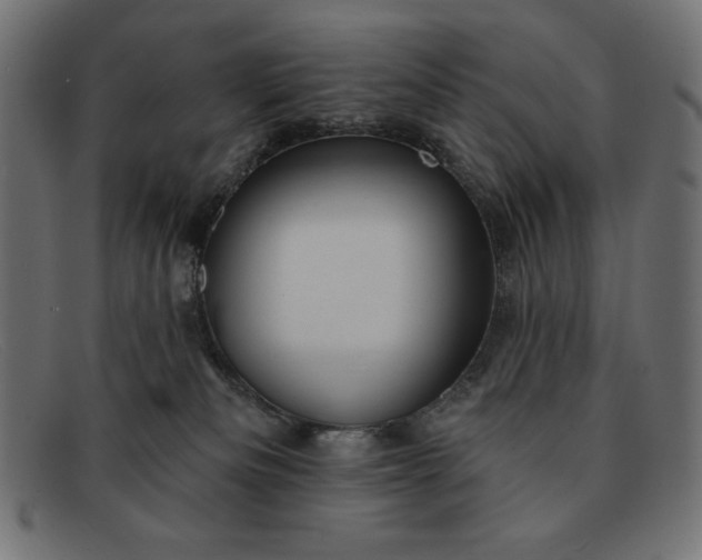 X0000091850133200709191104