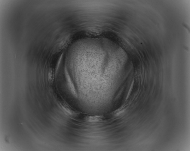 X0000091850134200709191104