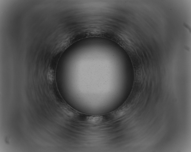 X0000091850135200709191104