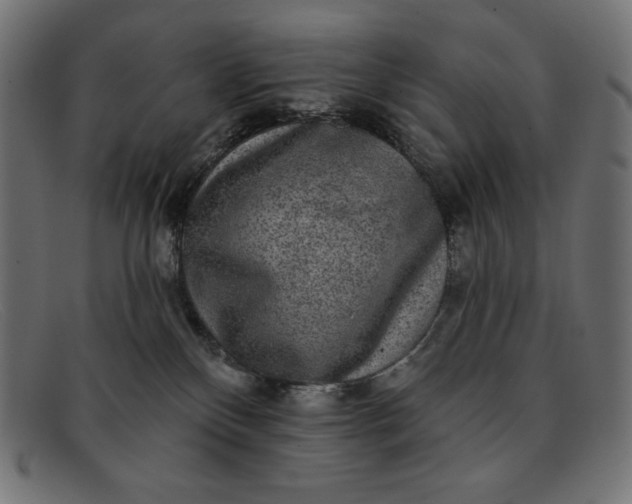 X0000091850136200709191104