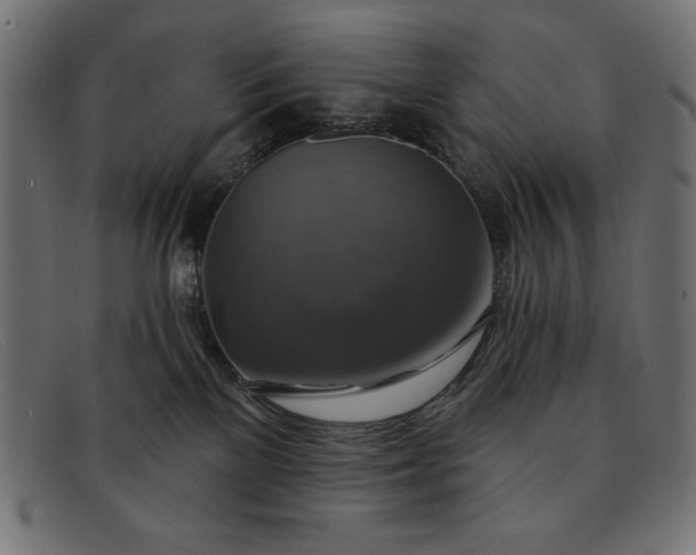 X0000091850137200709191104