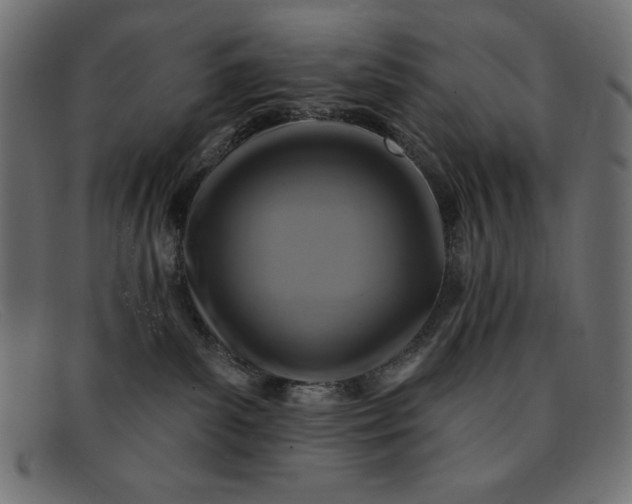 X0000091850139200709191104