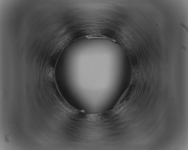 X0000091850141200709191104