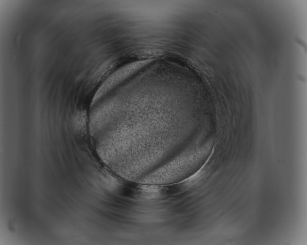 X0000091850144200709191104