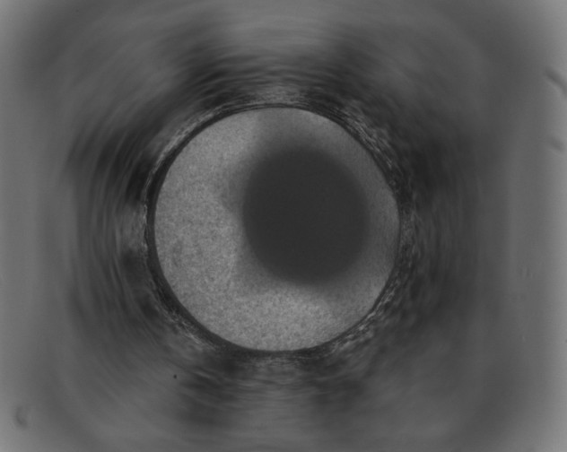 X0000091850146200709191103