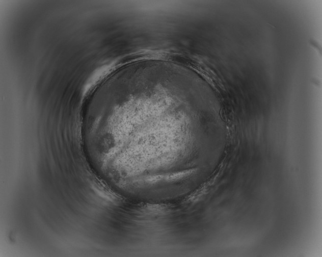 X0000091850149200709191103