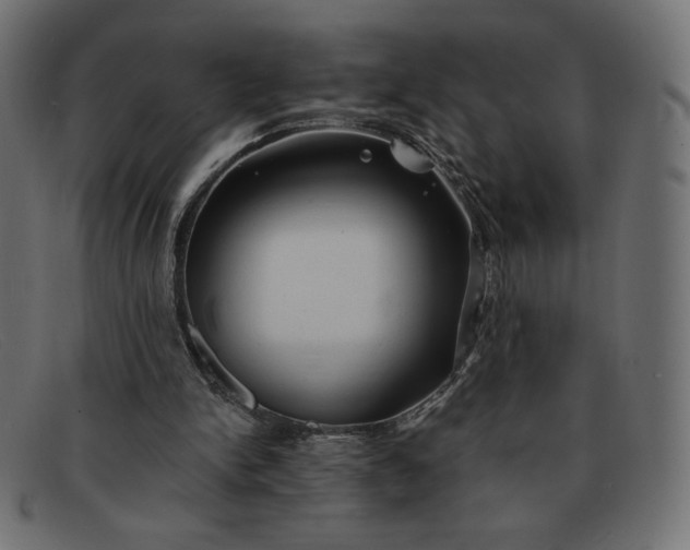 X0000091850150200709191103