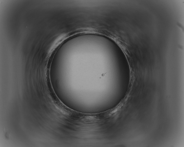 X0000091850151200709191103