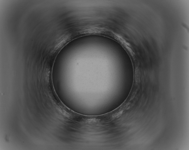 X0000091850153200709191103