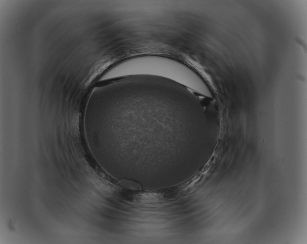 X0000091850154200709191103