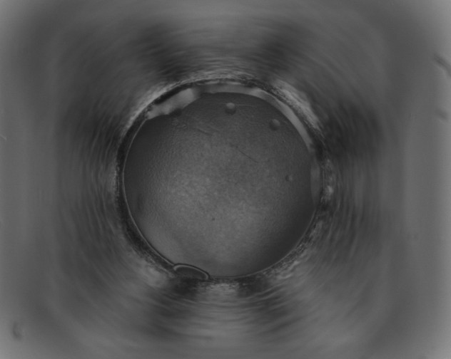 X0000091850156200709191103