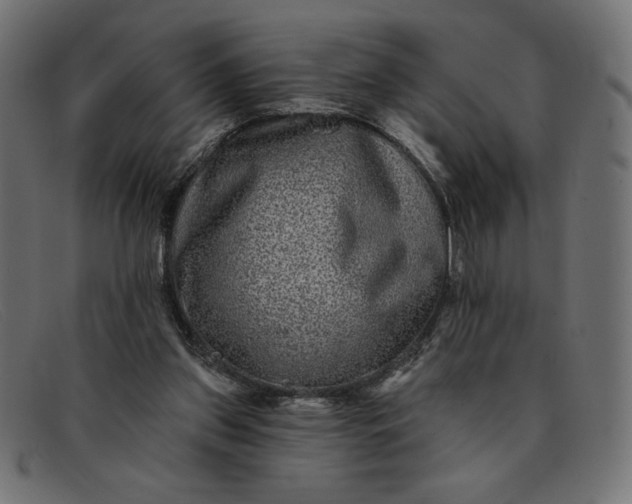 X0000091850157200709191103