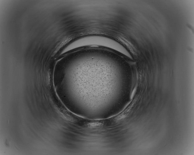 X0000091850158200709191103