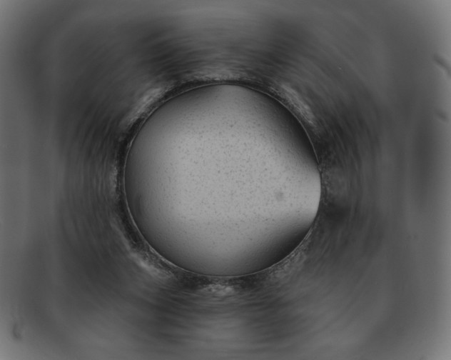 X0000091850159200709191103