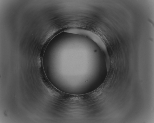 X0000091850160200709191103