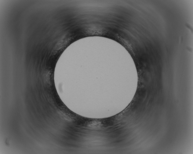 X0000091850162200709191103