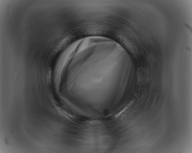 X0000091850163200709191103