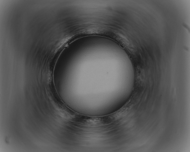 X0000091850164200709191103