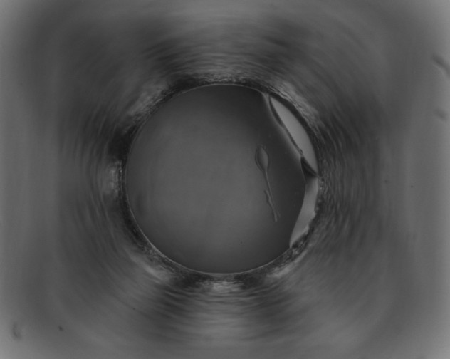 X0000091850165200709191103
