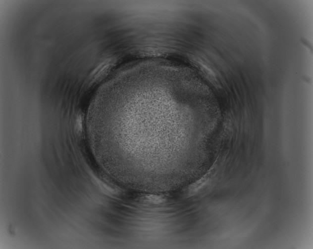 X0000091850166200709191103