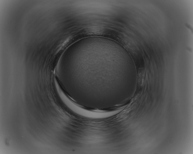 X0000091850168200709191103