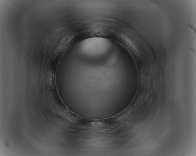 X0000091850169200709191103