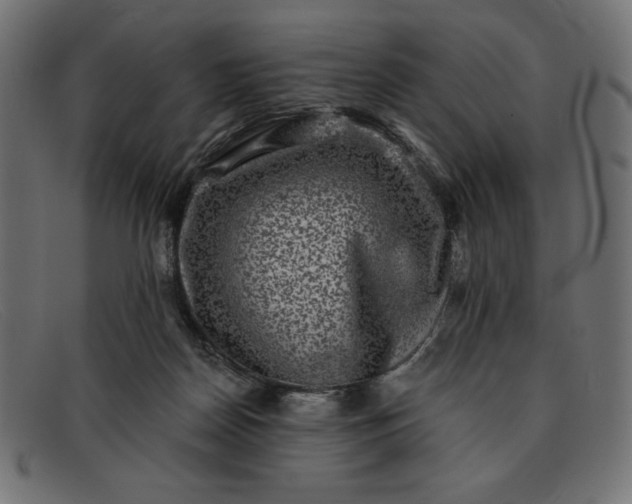 X0000091850170200709191103