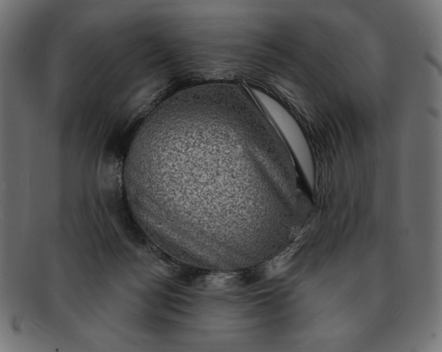 X0000091850172200709191103
