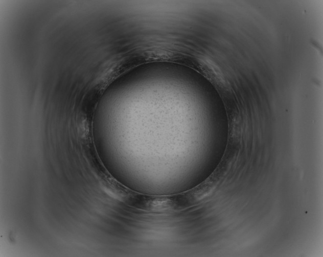 X0000091850173200709191103