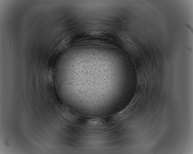 X0000091850175200709191103