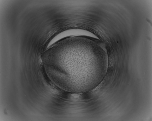 X0000091850176200709191103