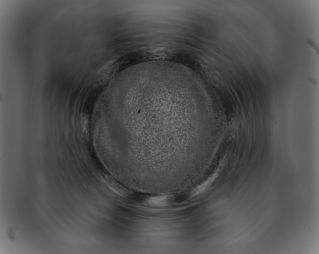 X0000091850178200709191103