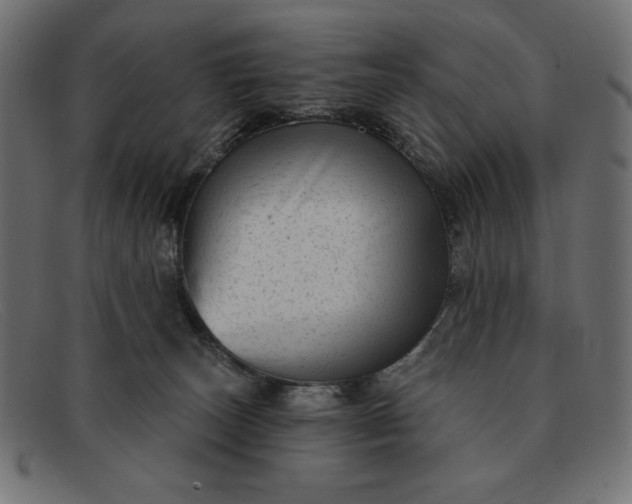 X0000091850179200709191103