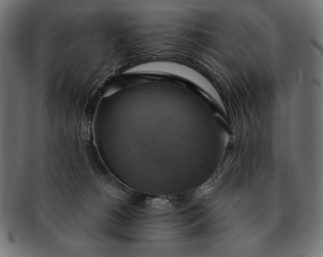 X0000091850180200709191103