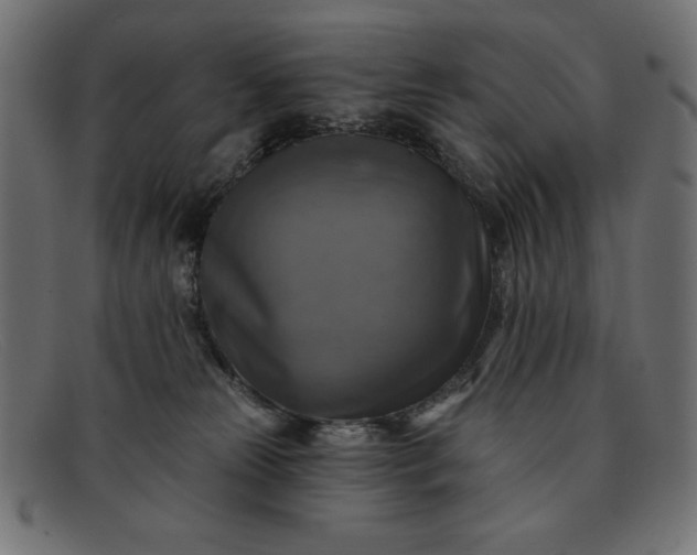 X0000091850181200709191104