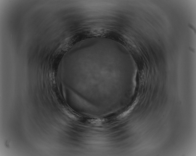 X0000091850182200709191104