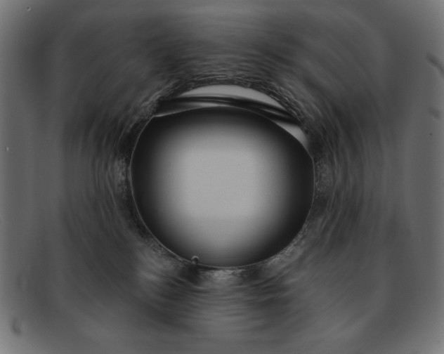 X0000091850184200709191104