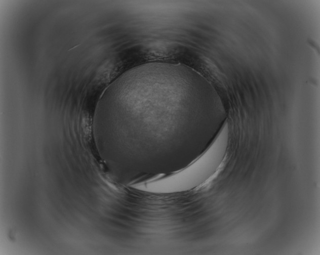 X0000091850186200709191104