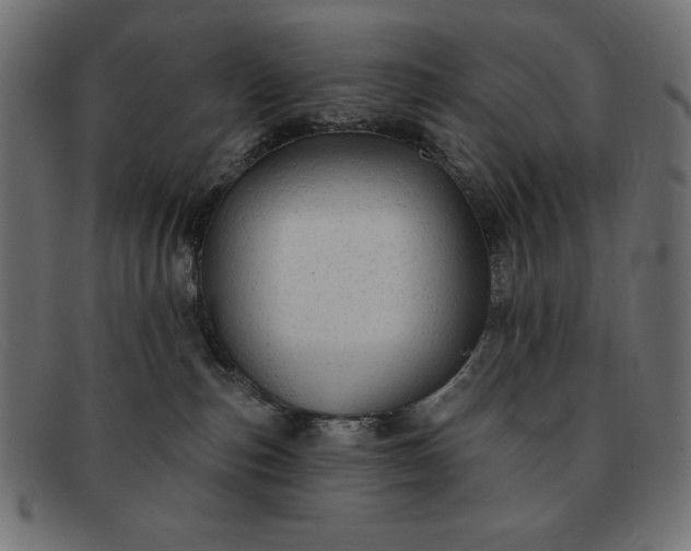 X0000091850187200709191104