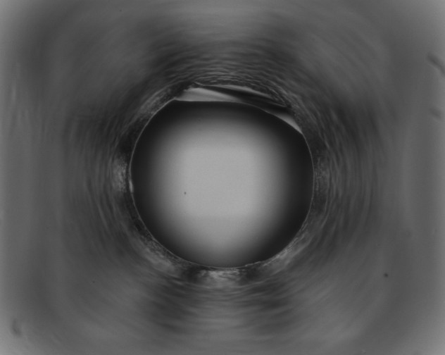 X0000091850188200709191104