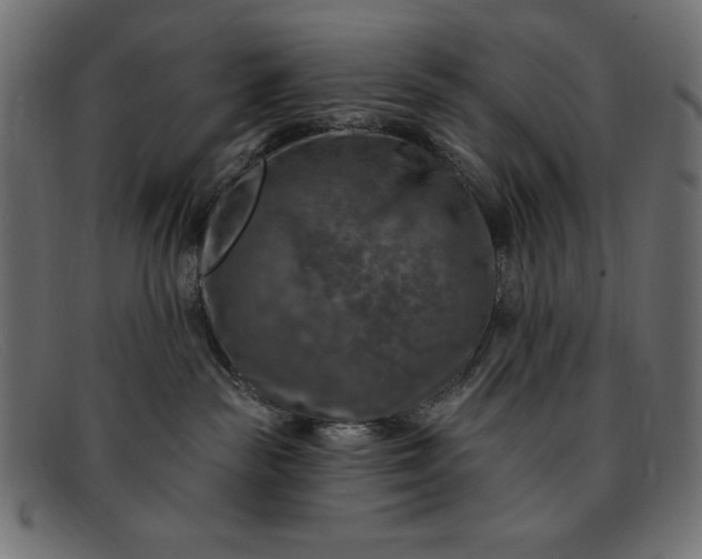 X0000091850189200709191104