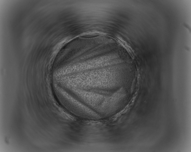 X0000091850193200709191103