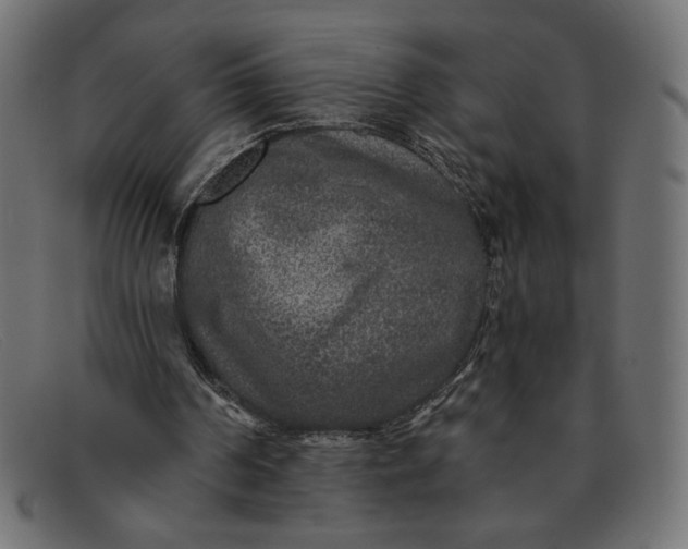 X0000091850194200709191103