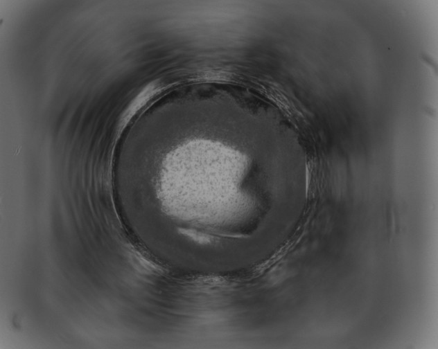 X0000091850195200709191103