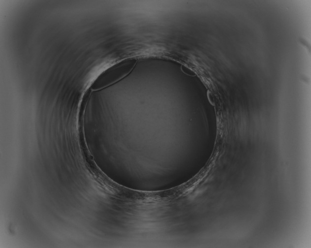 X0000091850196200709191103