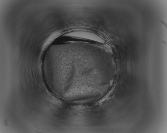 X0000091850197200709191103