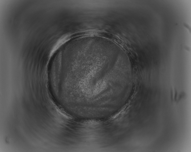 X0000091850198200709191103