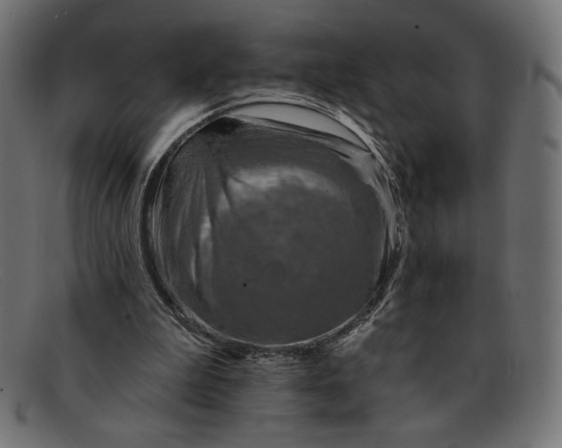 X0000091850199200709191103